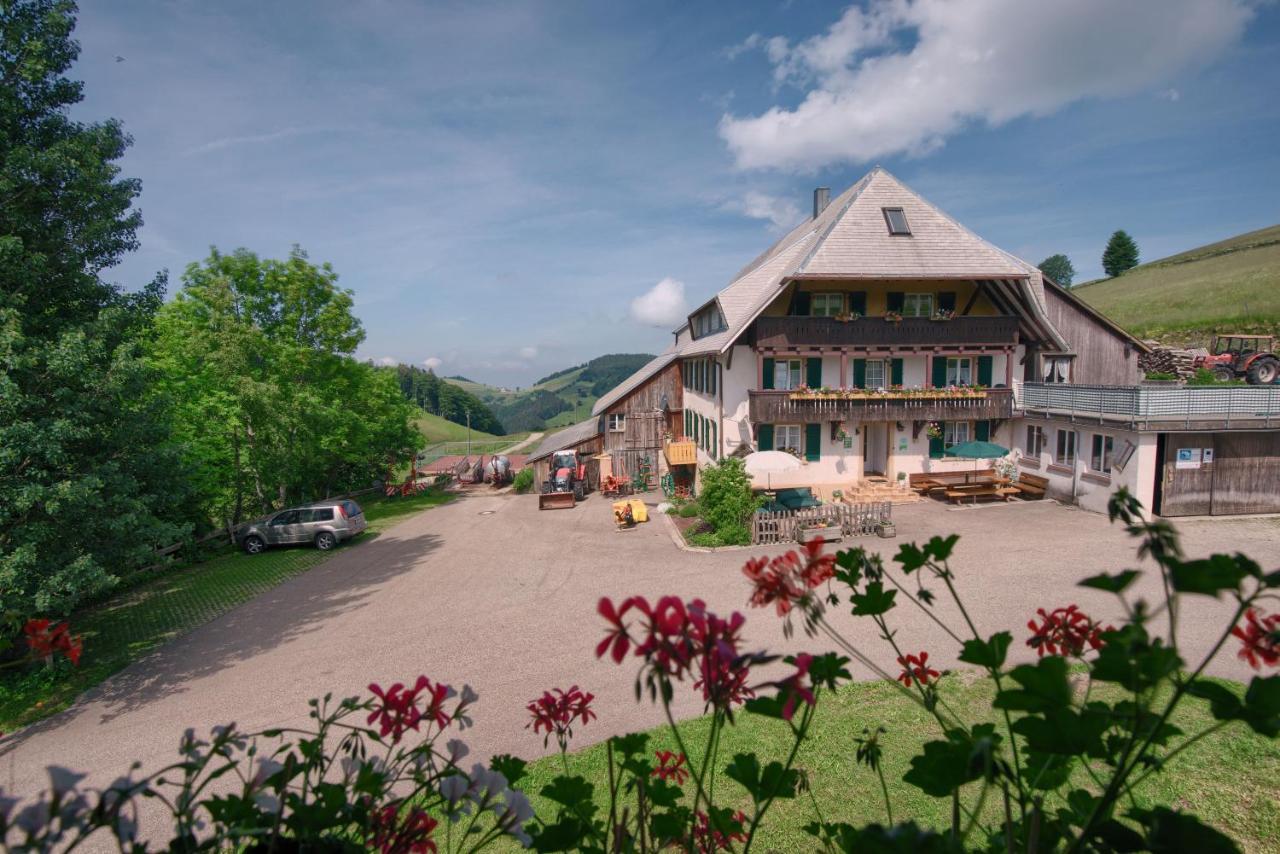 Ferienwohnung Mittlerer Itzenwaldhof - Heimkehr Münstertal Exterior foto