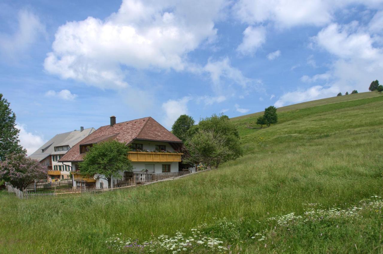 Ferienwohnung Mittlerer Itzenwaldhof - Heimkehr Münstertal Exterior foto